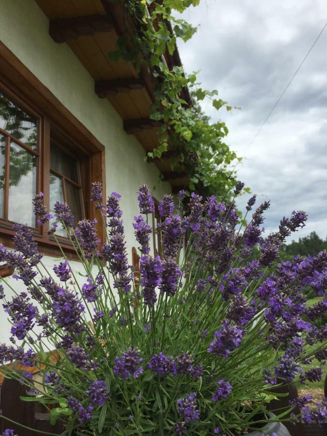 Bed and Breakfast Dom Rodziny Sojkow Białka Tatrzańska Exterior foto